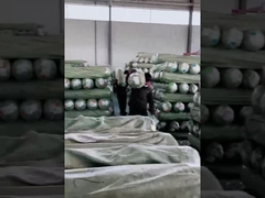 Mulheres colorimétricas do arrasto dos maiôs roxos 