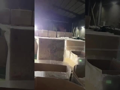 A natação sere a senhorita sem costas elástica alta 