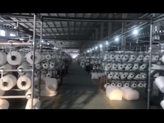 Biquini dos ternos de natação